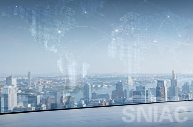 SNIAC HOLDS ONLINE EXCHANGE WITH CHENGDU LAWYERS ON INTERNATIONAL ARBITRATION
